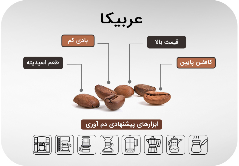 ویژگی های قهوه عربیکا کدامند؟