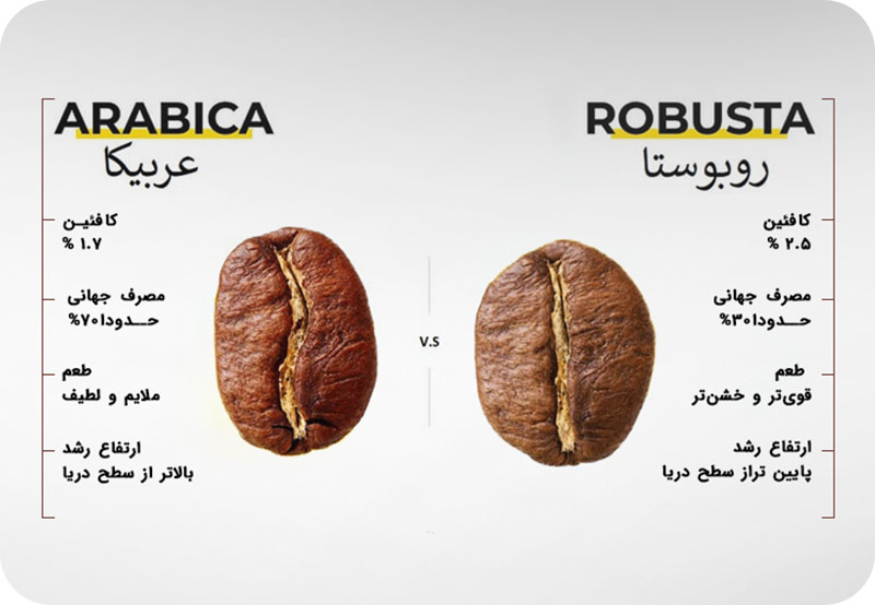 فرق بین نژاد عربیکا و روبوستا چیست؟