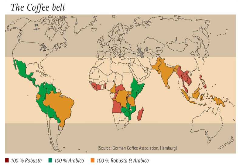 مقایسه کشورهای تولید کننده قهوه روبوستا و عربیکا