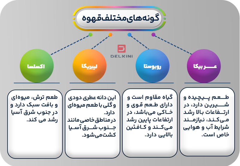 گونه های مختلف قهوه