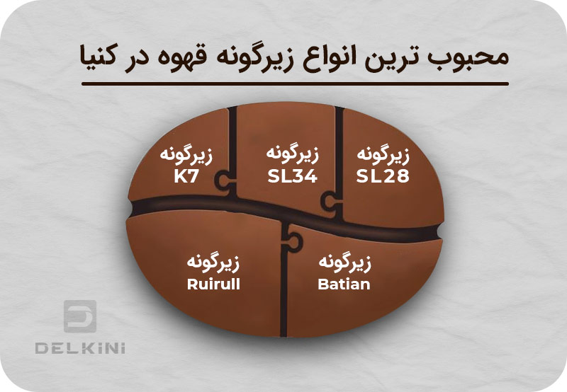 انواع زیر گونه